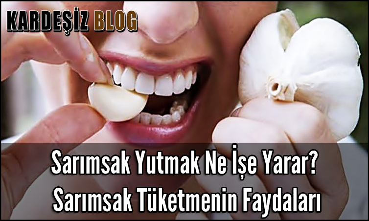 Sar Msak Yutmak Ne E Yarar Sar Msak T Ketmenin Faydalar