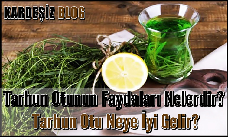 Tarhun Otunun Faydaları Nelerdir Tarhun Otu Neye İyi Gelir