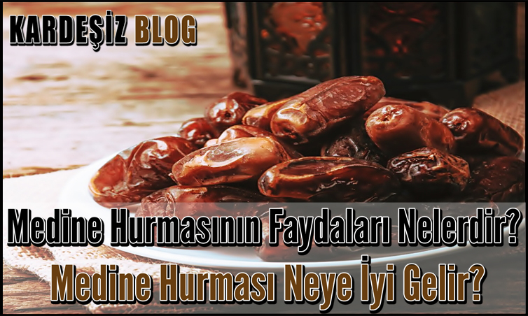 Medine Hurmas N N Faydalar Nelerdir Medine Hurmas Neye Yi Gelir