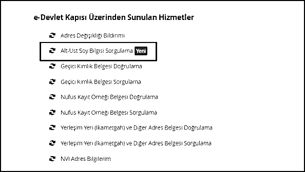 Soy Ağacı Öğrenme 2018