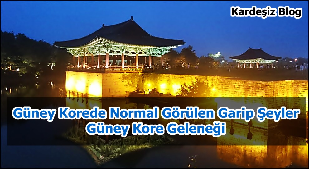 Güney Korede Normal Görülen Garip Şeyler