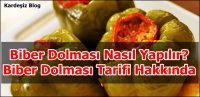 Biber Dolması Nasıl Yapılır