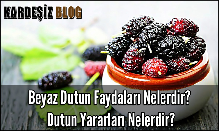 Beyaz Dutun Faydaları Nelerdir