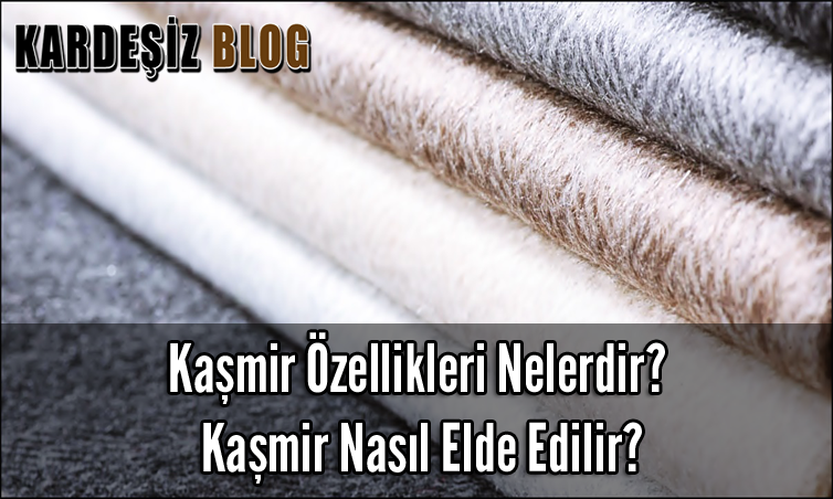 Kaşmir Özellikleri Nelerdir