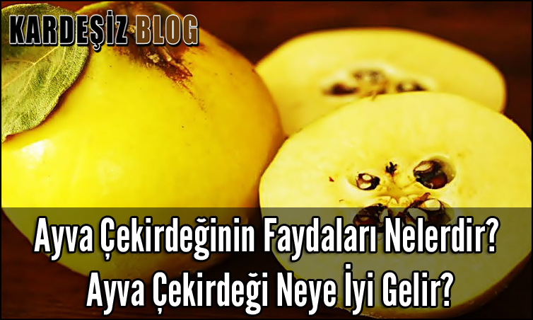 Ayva Çekirdeğinin Faydaları Nelerdir