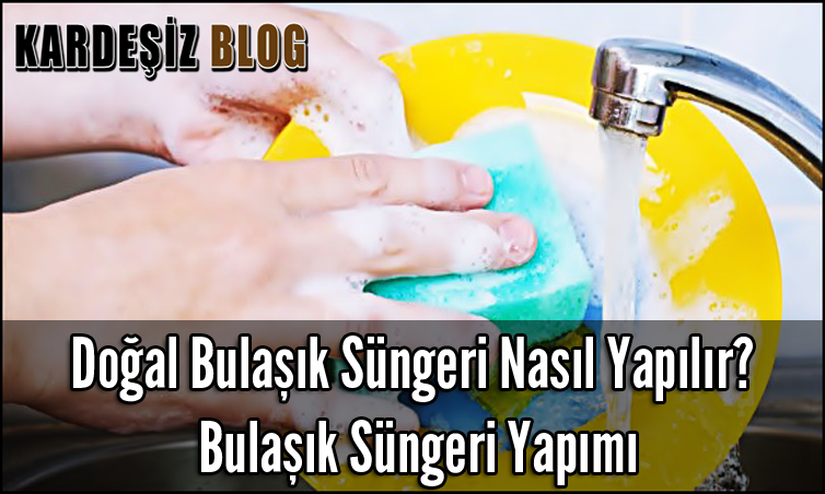 Doğal Bulaşık Süngeri Nasıl Yapılır