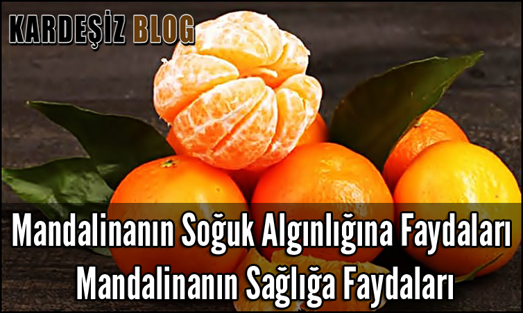 Mandalinanın Soğuk Algınlığına Faydaları