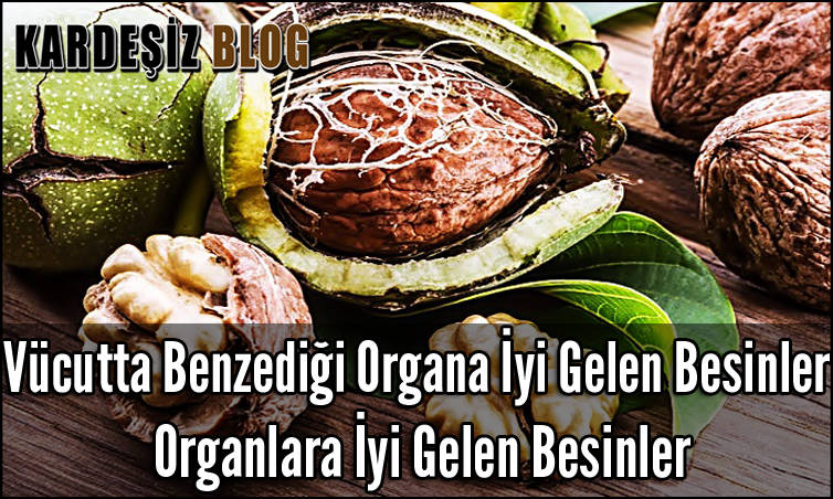 Vücutta Benzediği Organa iyi Gelen Besinler