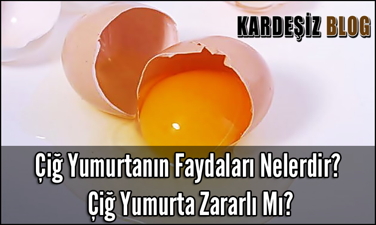 Çiğ Yumurtanın Faydaları Nelerdir