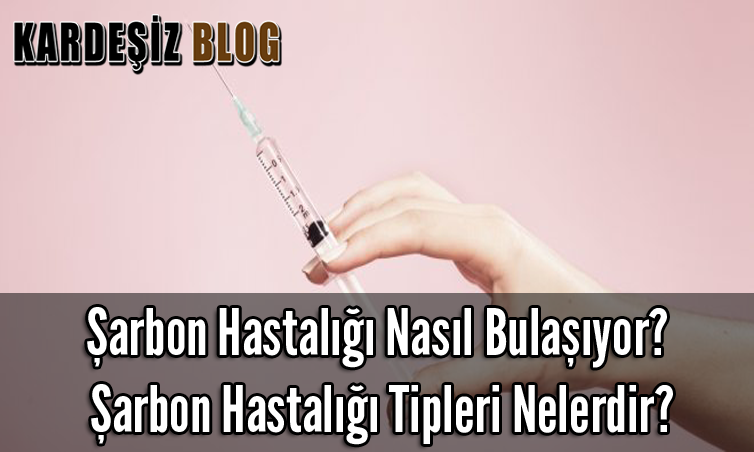 Şarbon Hastalığı Nasıl Bulaşıyor