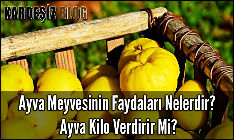 Ayva Meyvesinin Faydaları Nelerdir