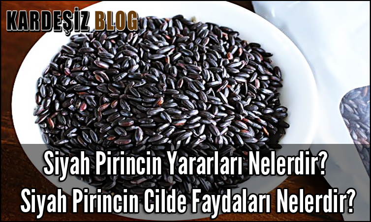 Siyah Pirincin Yararları Nelerdir