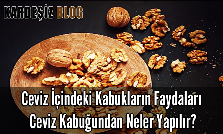 Ceviz içindeki Kabukların Faydaları