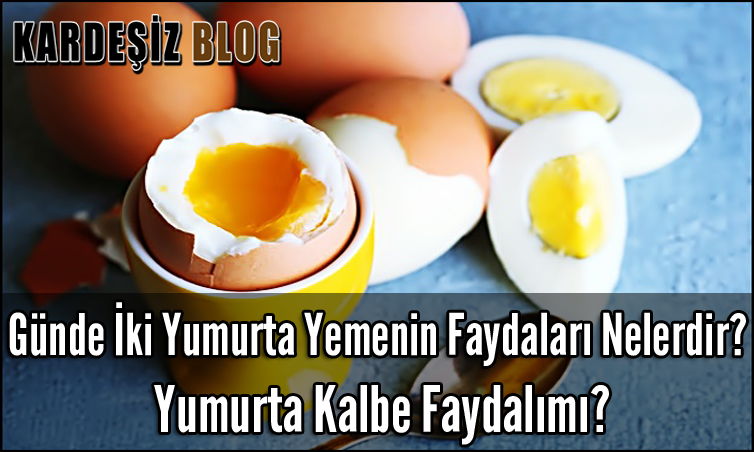 Günde iki Yumurta Yemenin Faydaları Nelerdir