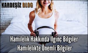 Hamilelik Hakkında İlginç Bilgiler Hamilelikte Önemli Bilgiler