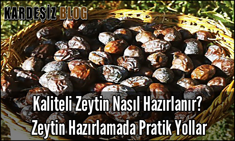 Kaliteli Zeytin Nasıl Hazırlanır