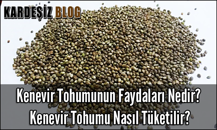 Kenevir Tohumunun Faydaları Nedir