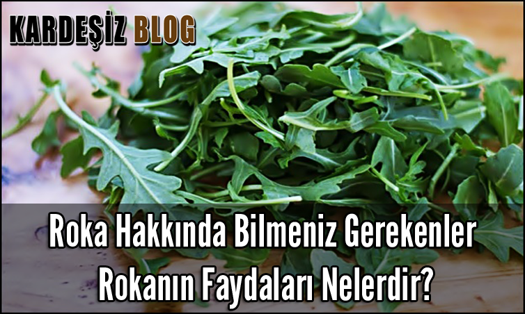 Roka Hakkında Bilmeniz Gerekenler