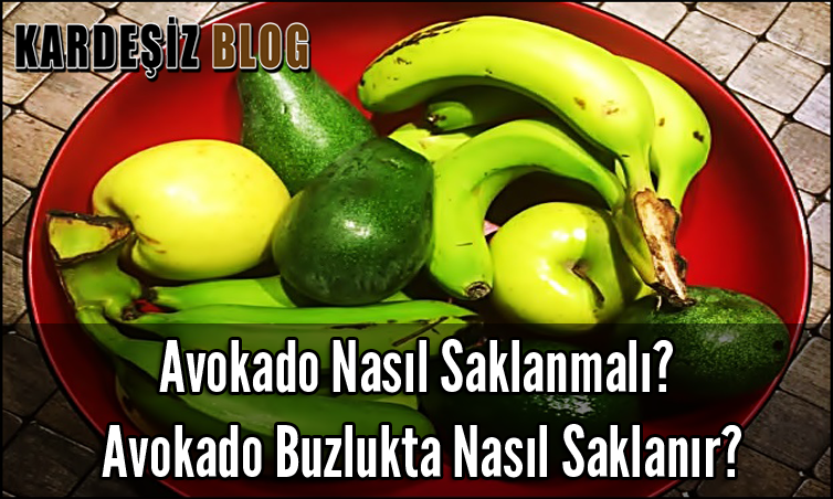 Avokado Nasıl Saklanmalı