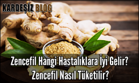 Zencefil Hangi Hastalıklara iyi Gelir