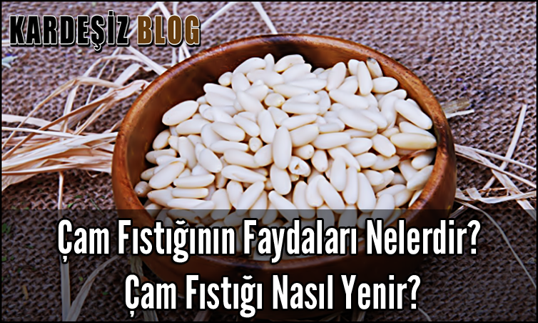 Çam Fıstığının Faydaları Nelerdir