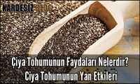 Çiya Tohumunun Faydaları Nelerdir