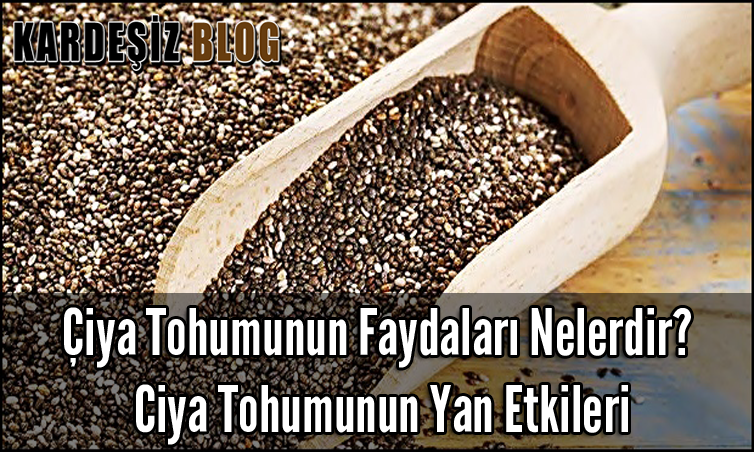 Çiya Tohumunun Faydaları Nelerdir