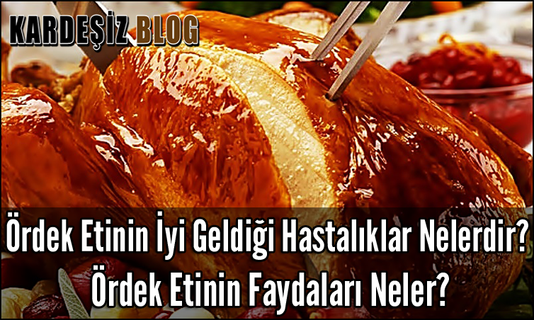 Ördek Etinin iyi Geldiği Hastalıklar Nelerdir