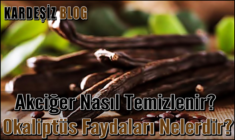 Akciğer Nasıl Temizlenir