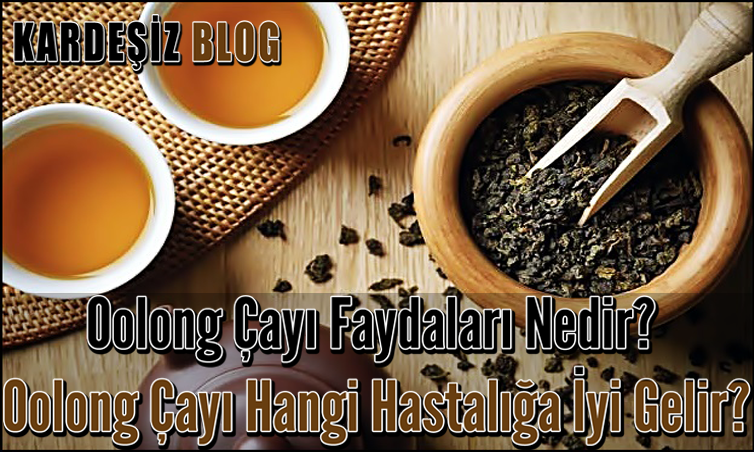 Oolong Çayı Faydaları Nedir