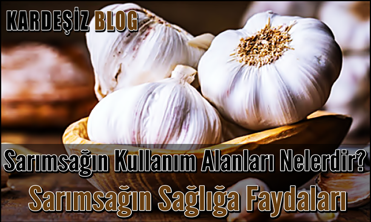 Sarımsağın Kullanım Alanları Nelerdir