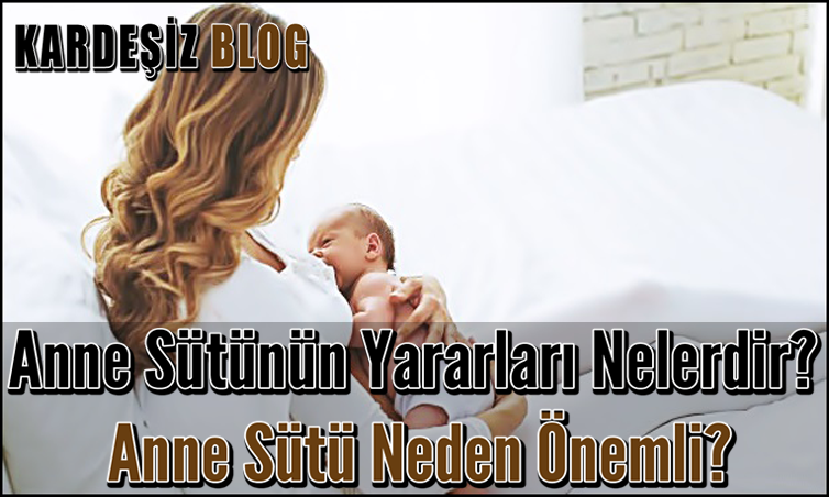 Anne Sütünün Yararları Nelerdir