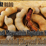 Demirhindi Meyvesinin Faydaları Nelerdir