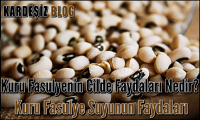 Kuru Fasulyenin Cilde Faydaları Nedir