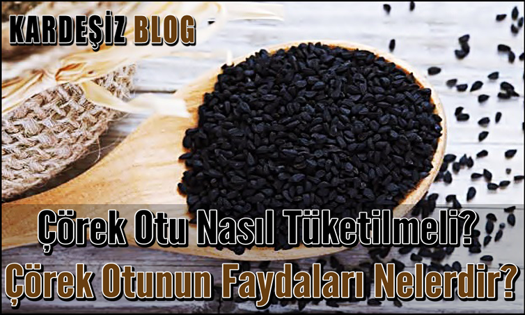 Çörek Otu Nasıl Tüketilmeli