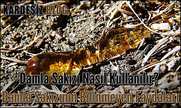 Damla Sakızı Nasıl Kullanılır