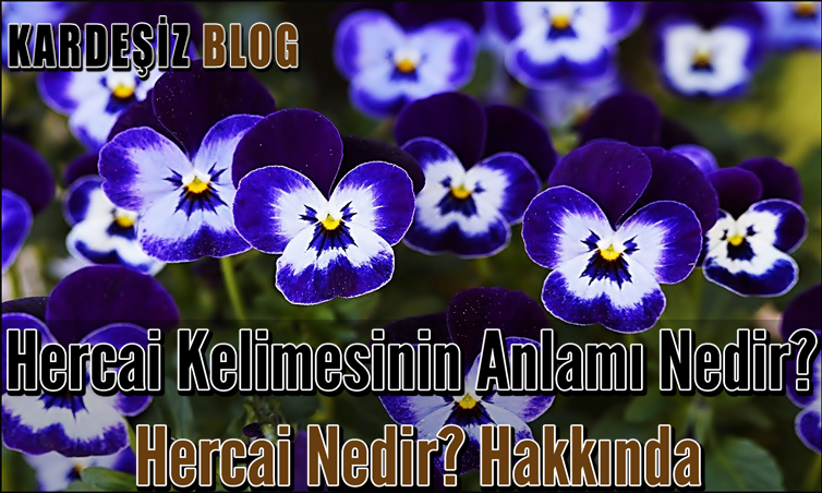 Hercai Kelimesinin Anlamı Nedir