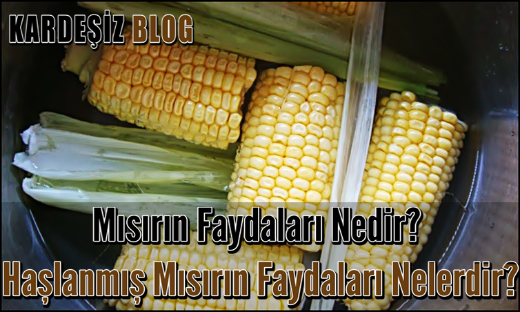 Mısırın Faydaları Nedir