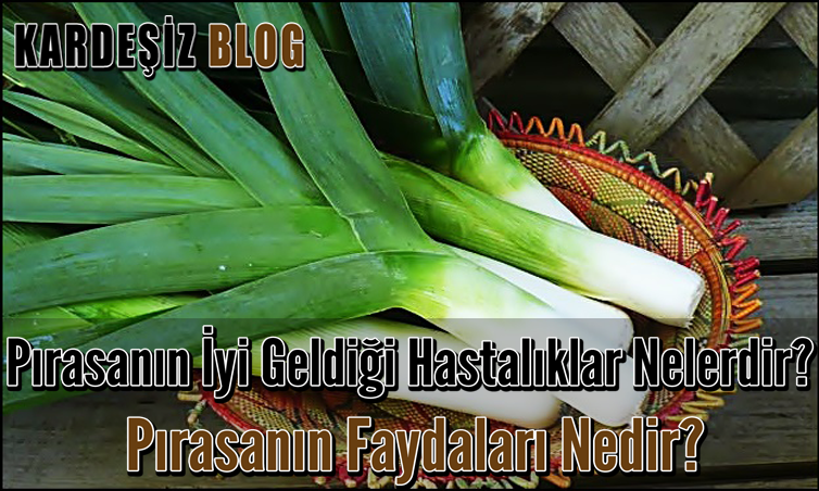 Pırasanın iyi Geldiği Hastalıklar Nelerdir