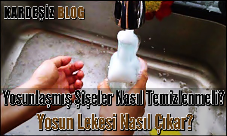 Yosunlaşmış Şişeler Nasıl Temizlenmeli