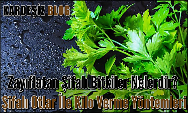 Zayıflatan Şifalı Bitkiler Nelerdir