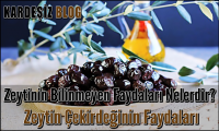 Zeytinin Bilinmeyen Faydaları Nelerdir