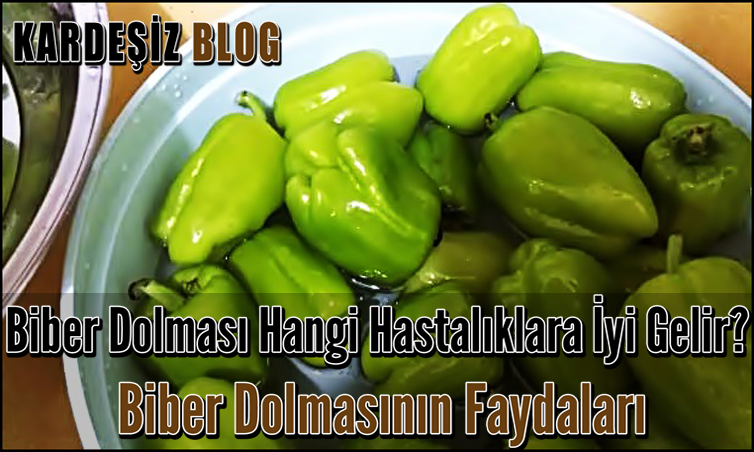 Biber Dolması Hangi Hastalıklara iyi Gelir