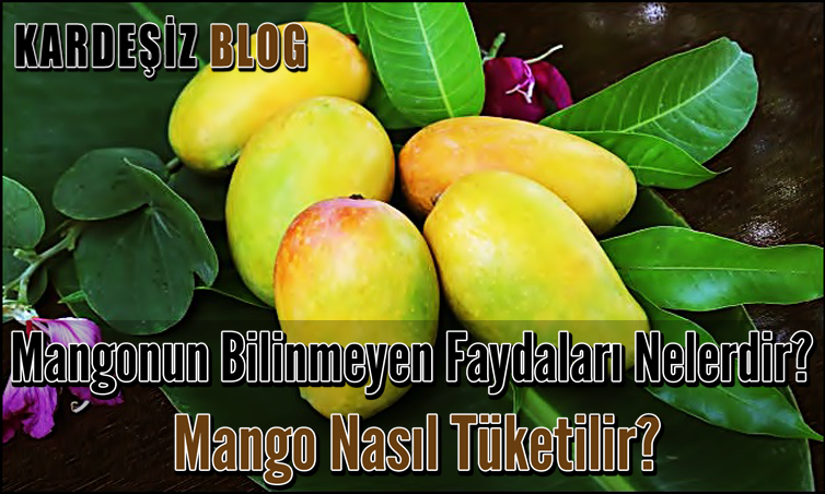 Mangonun Bilinmeyen Faydaları Nelerdir