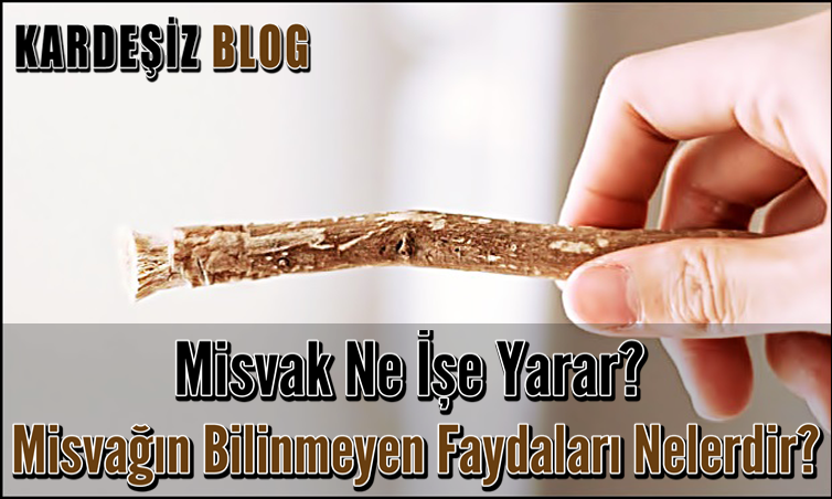 Misvak Ne işe Yarar