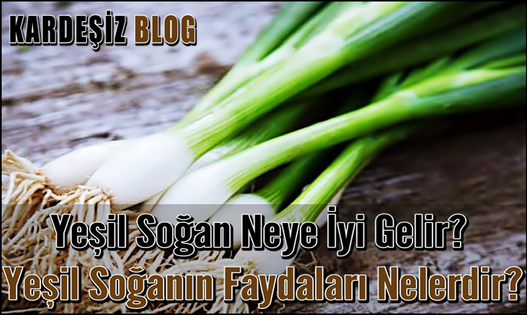 Yeşil Soğan Neye iyi Gelir