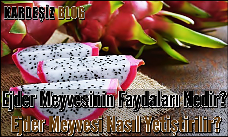 Ejder Meyvesinin Faydaları Nedir