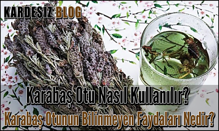 Karabaş Otu Nasıl Kullanılır