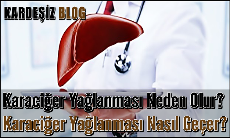 Karaciğer Yağlanması Neden Olur