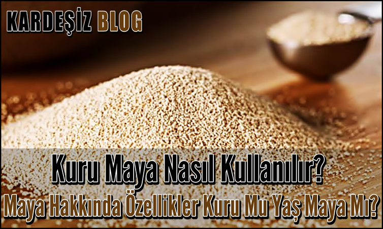 Kuru Maya Nasıl Kullanılır